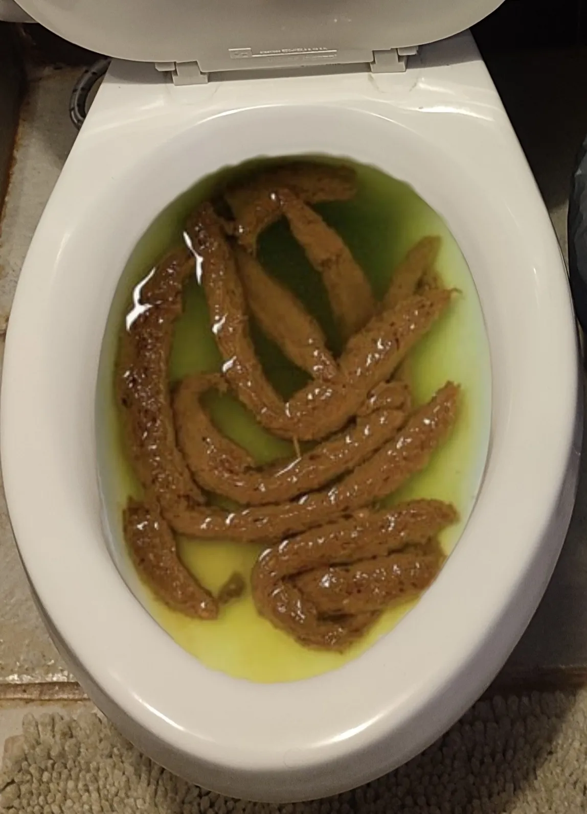 La caca de mi novia se fue a la segunda descarga