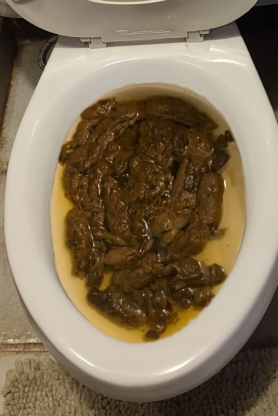 Hoy mi novia tapó el baño