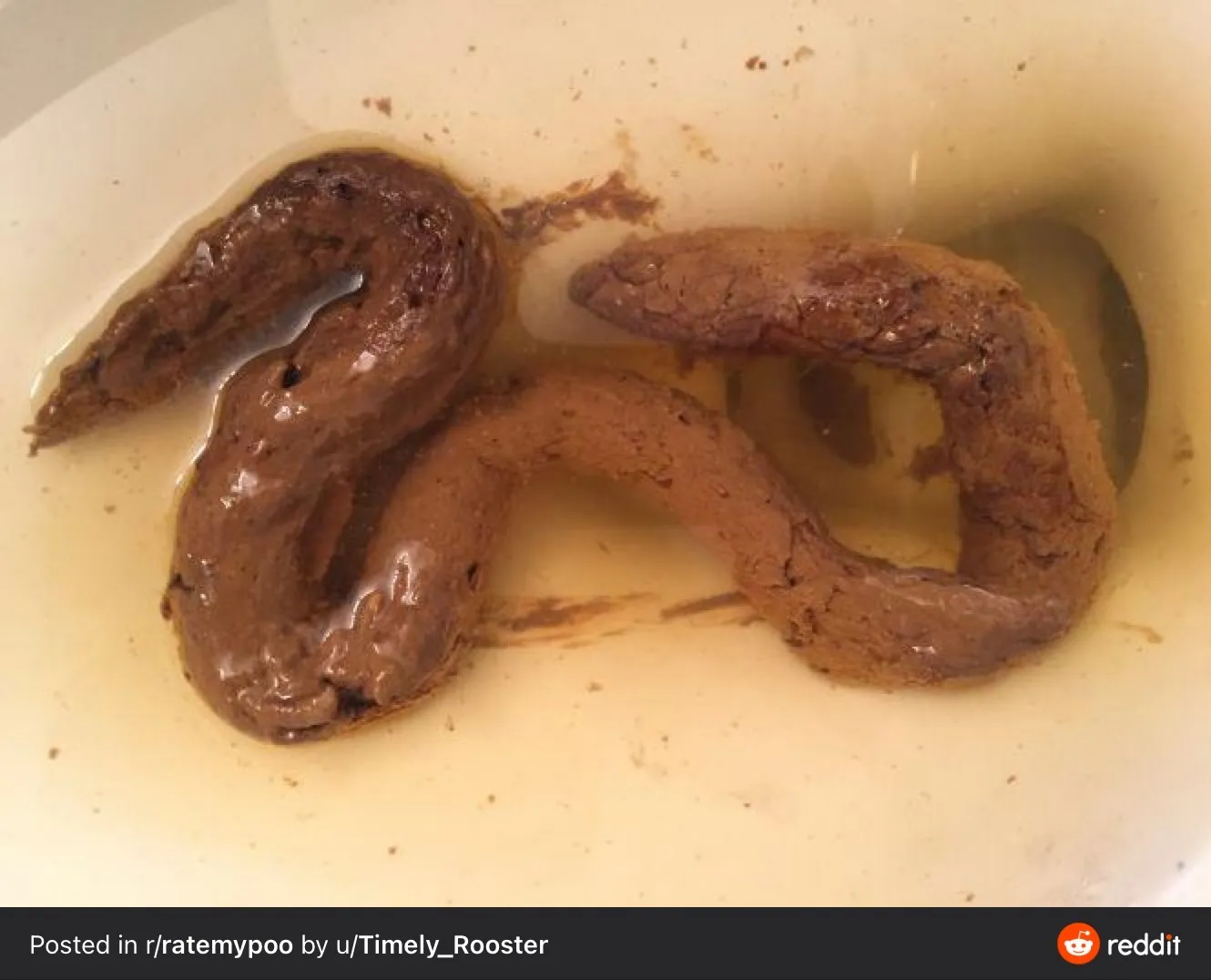 Shit snake