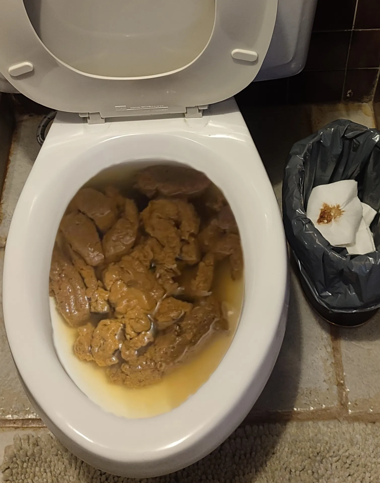 La caca de mi novia se fue a la segunda descarga