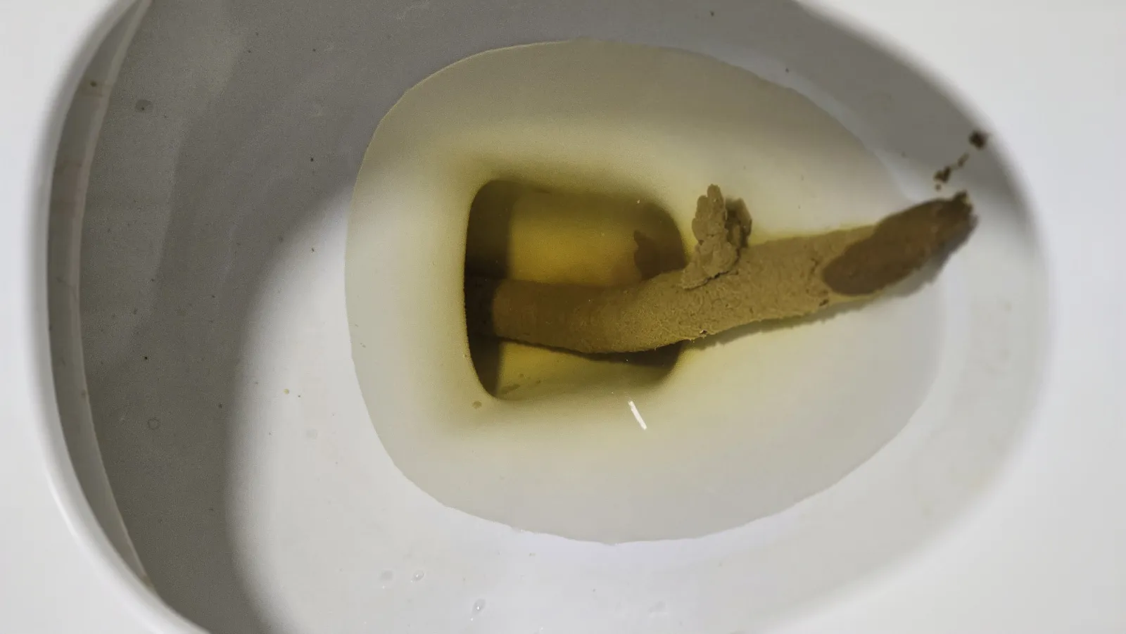 Anaconda