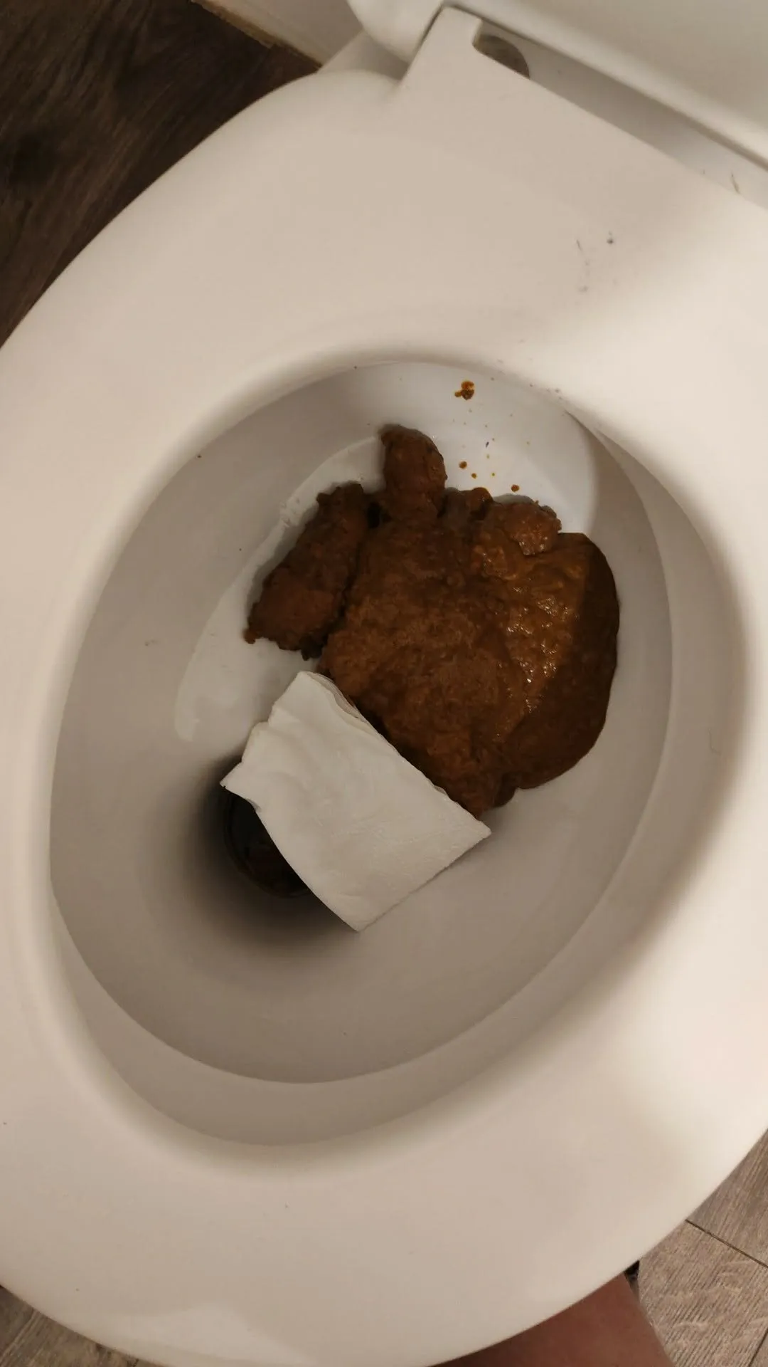 Kow poop