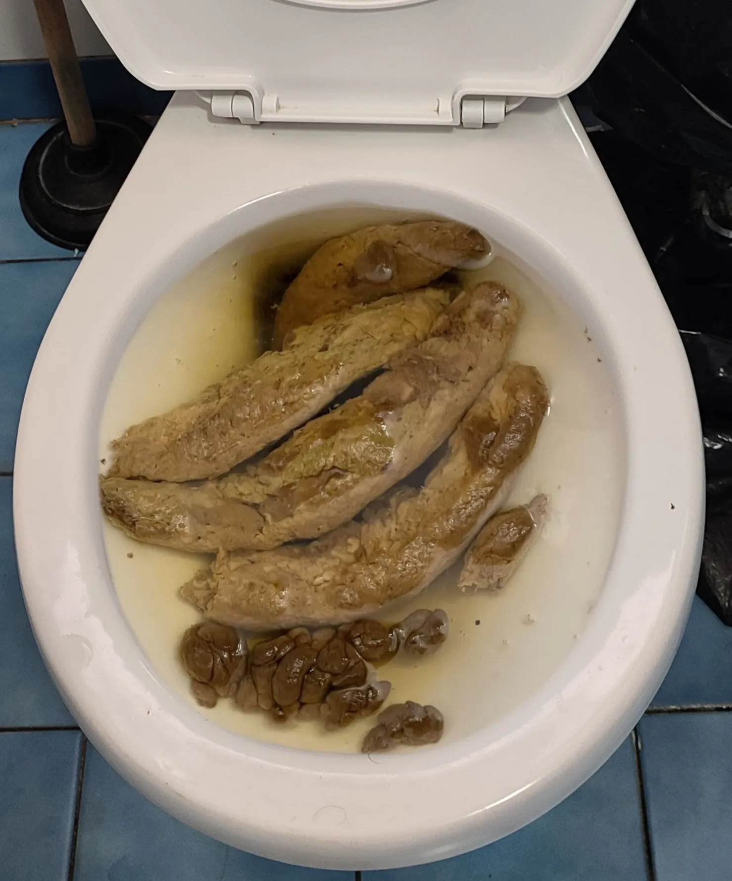 My girlfriend clogged the toilet in her office today