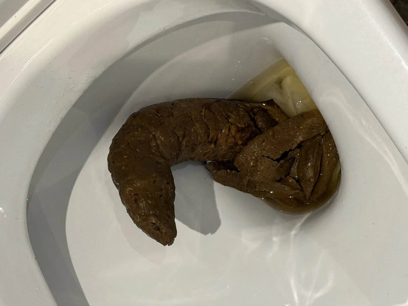 Hogwarts Sorting Hat