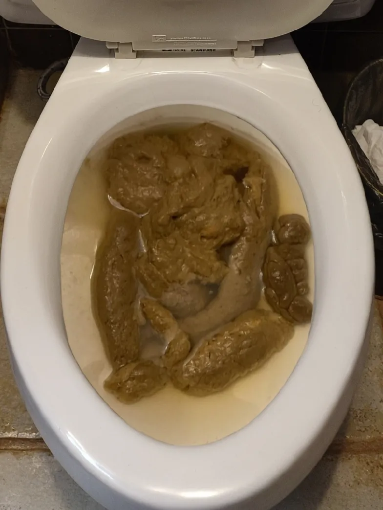 My girlfriend left her dinner poop in the toilet.