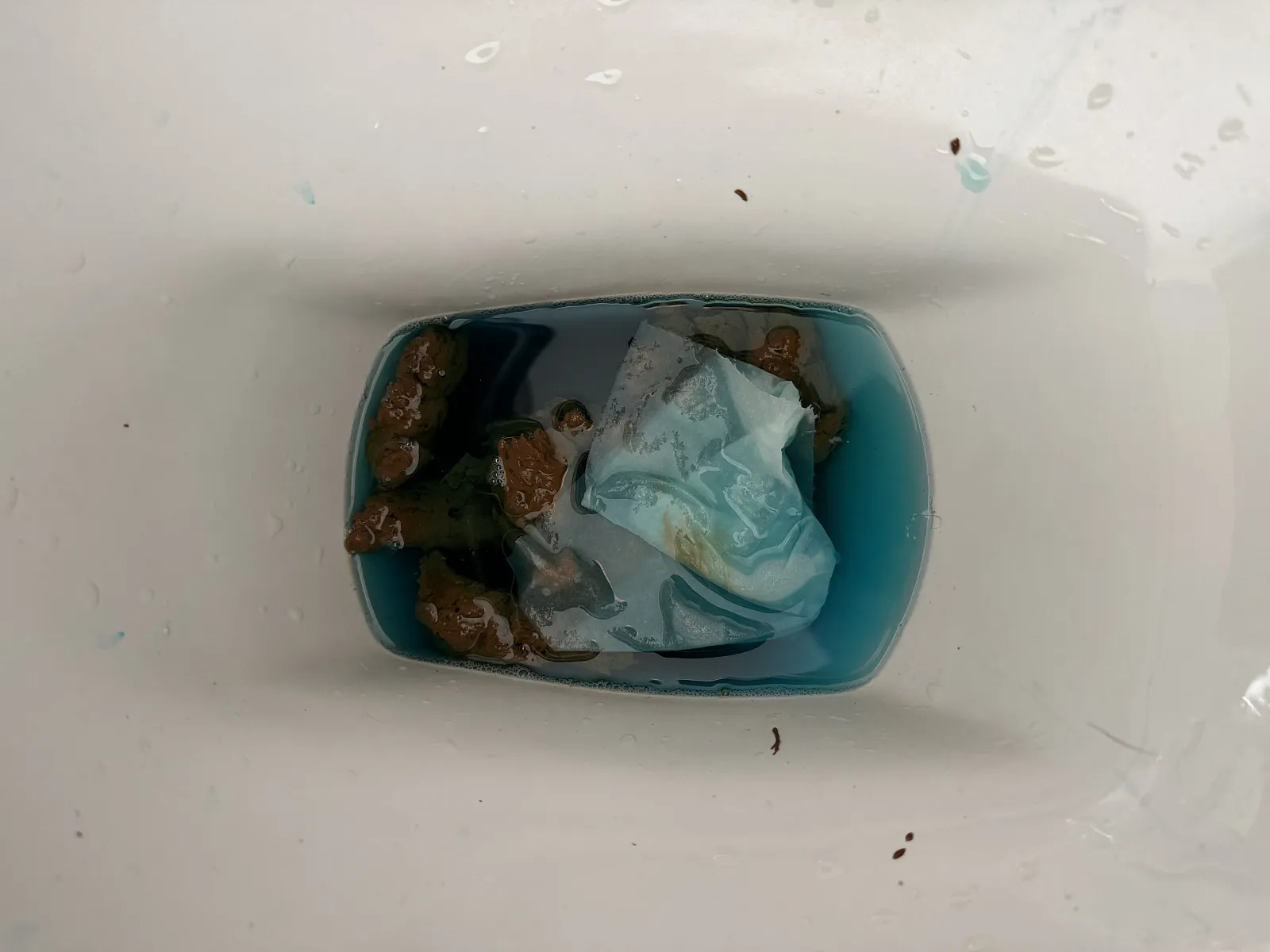 The Blue Waters of Dorset