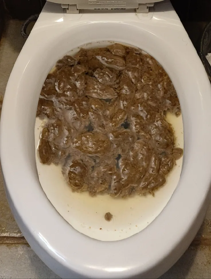 My girlfriend's morning poop