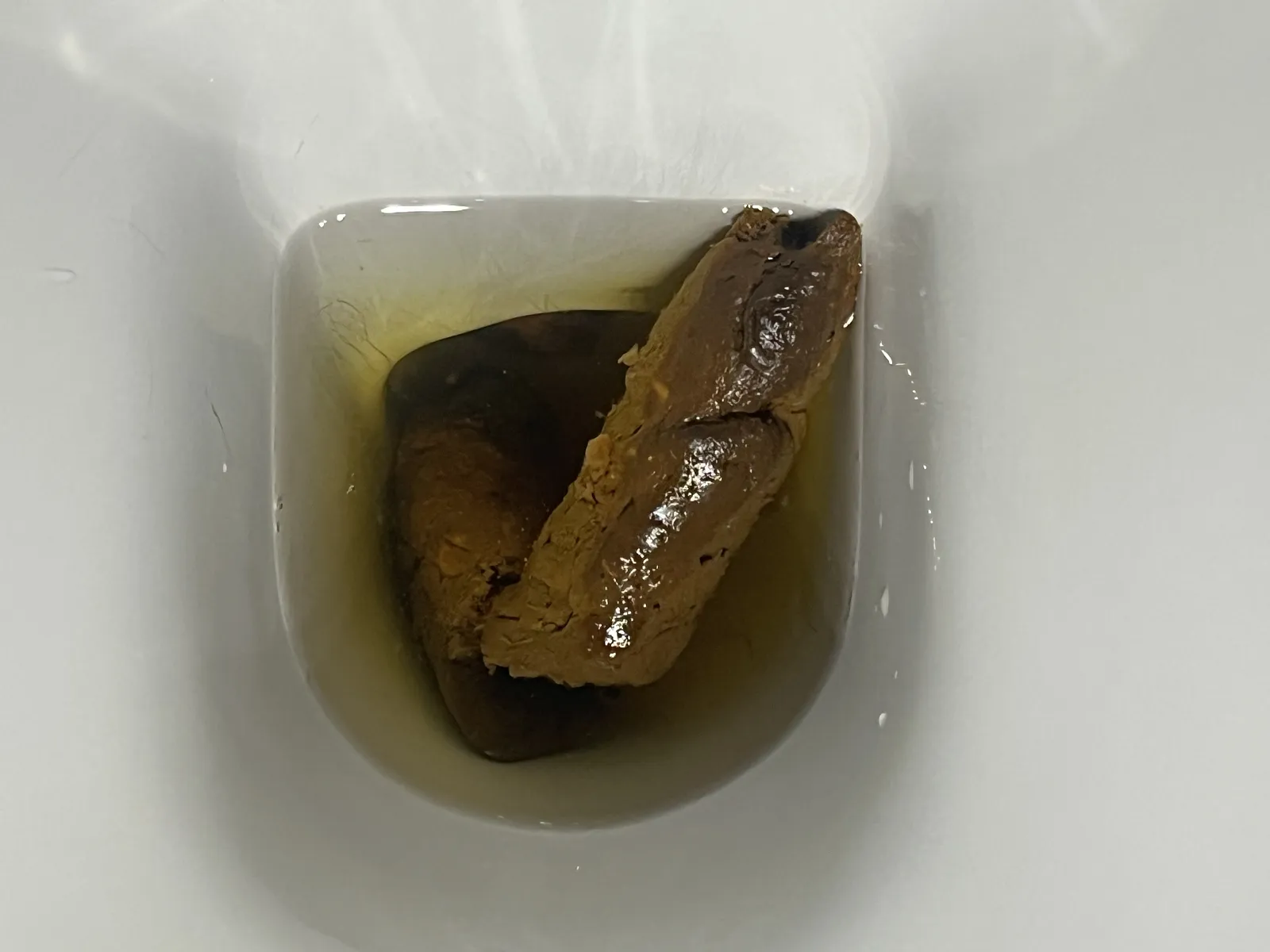 Chronicles of the bowl: Tales of Glory and destruction