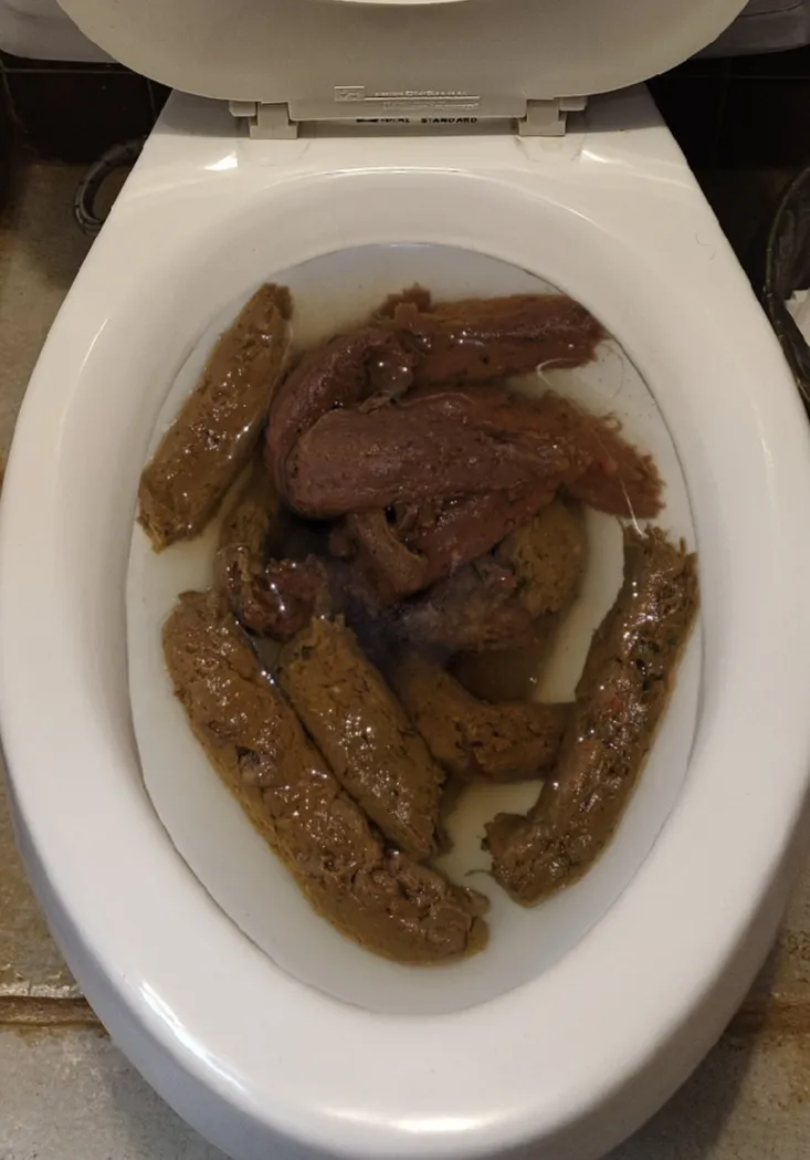 My girlfriend forgot to flush the toilet again.