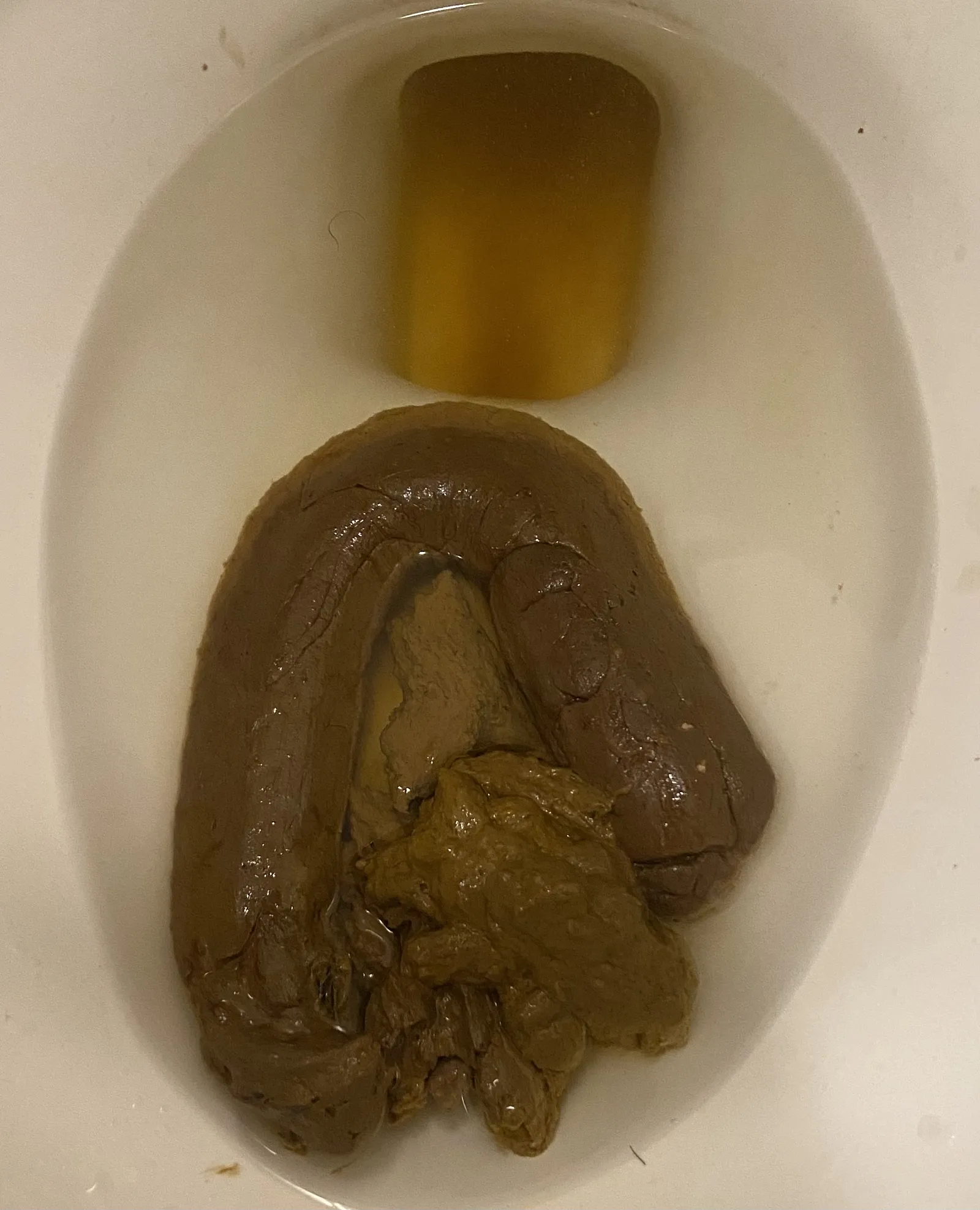 Morning shit