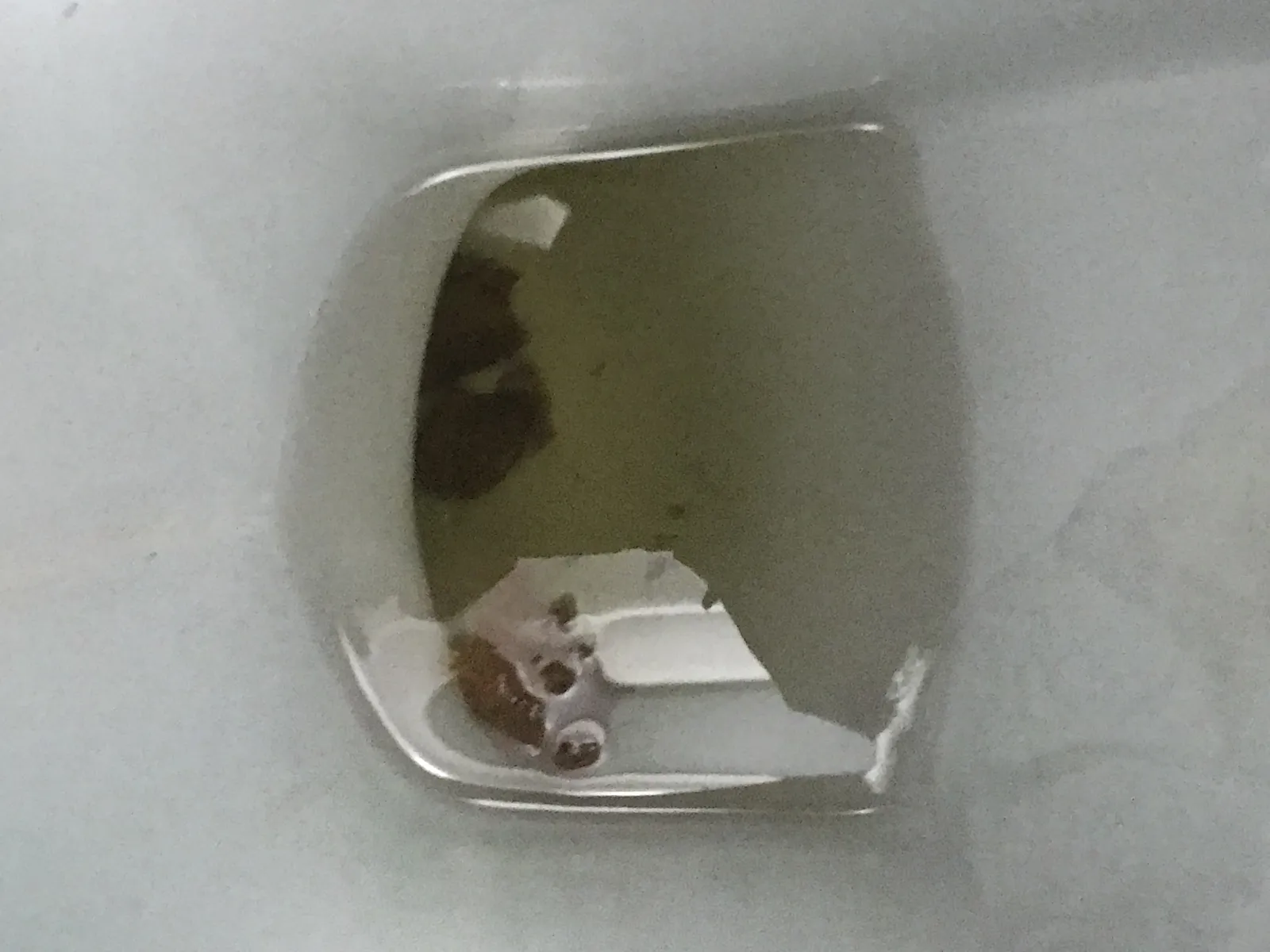 sadly it got stuck under the toilet ?