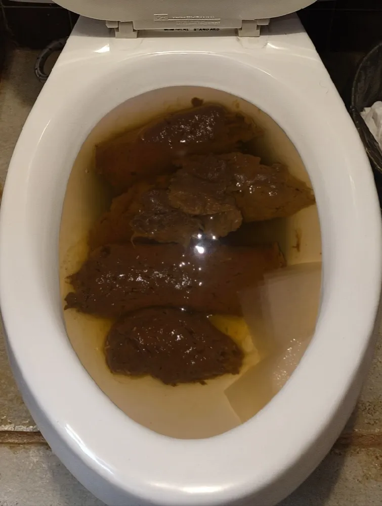 Another one of my girlfriend's poops