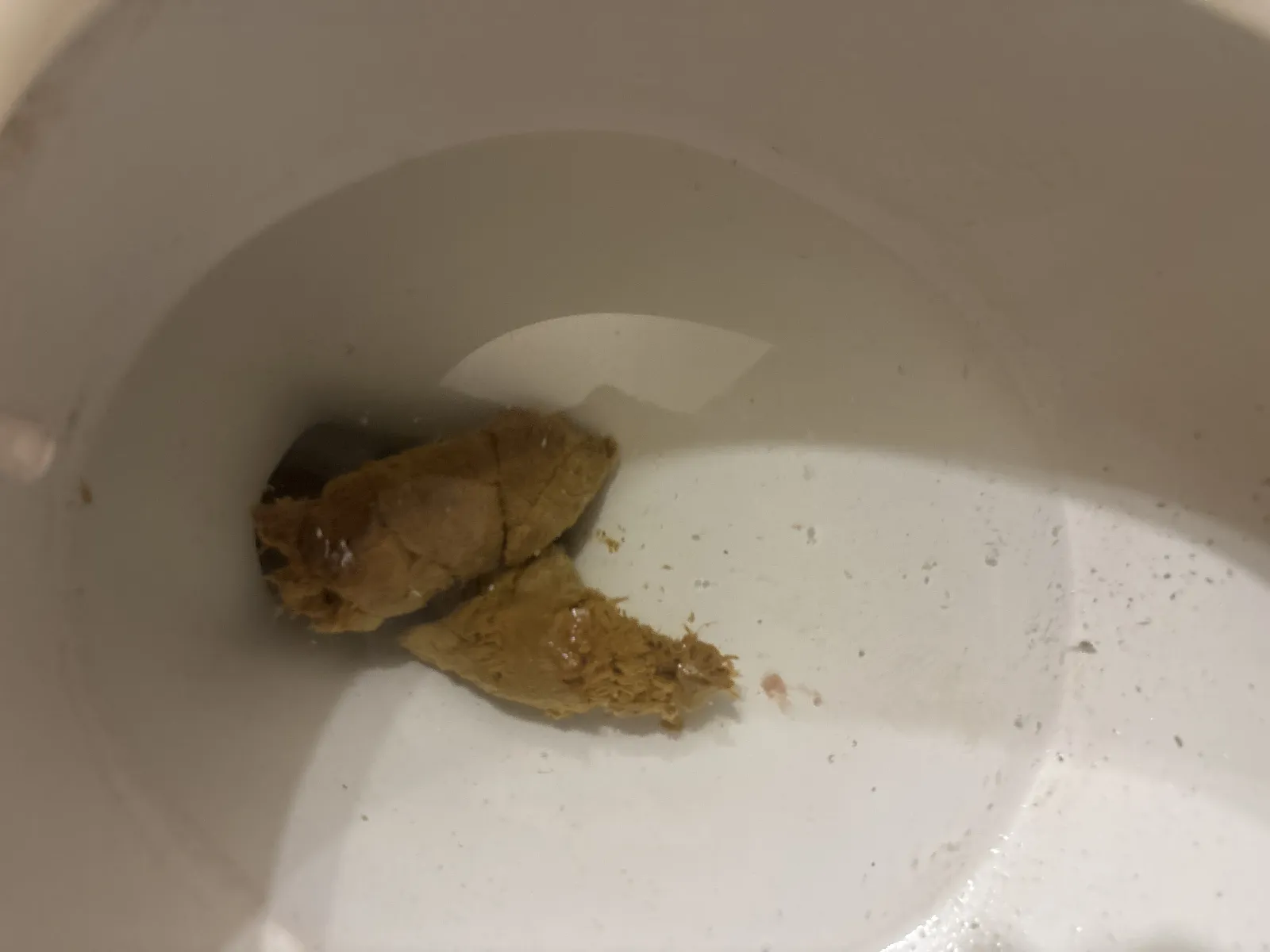 Gg