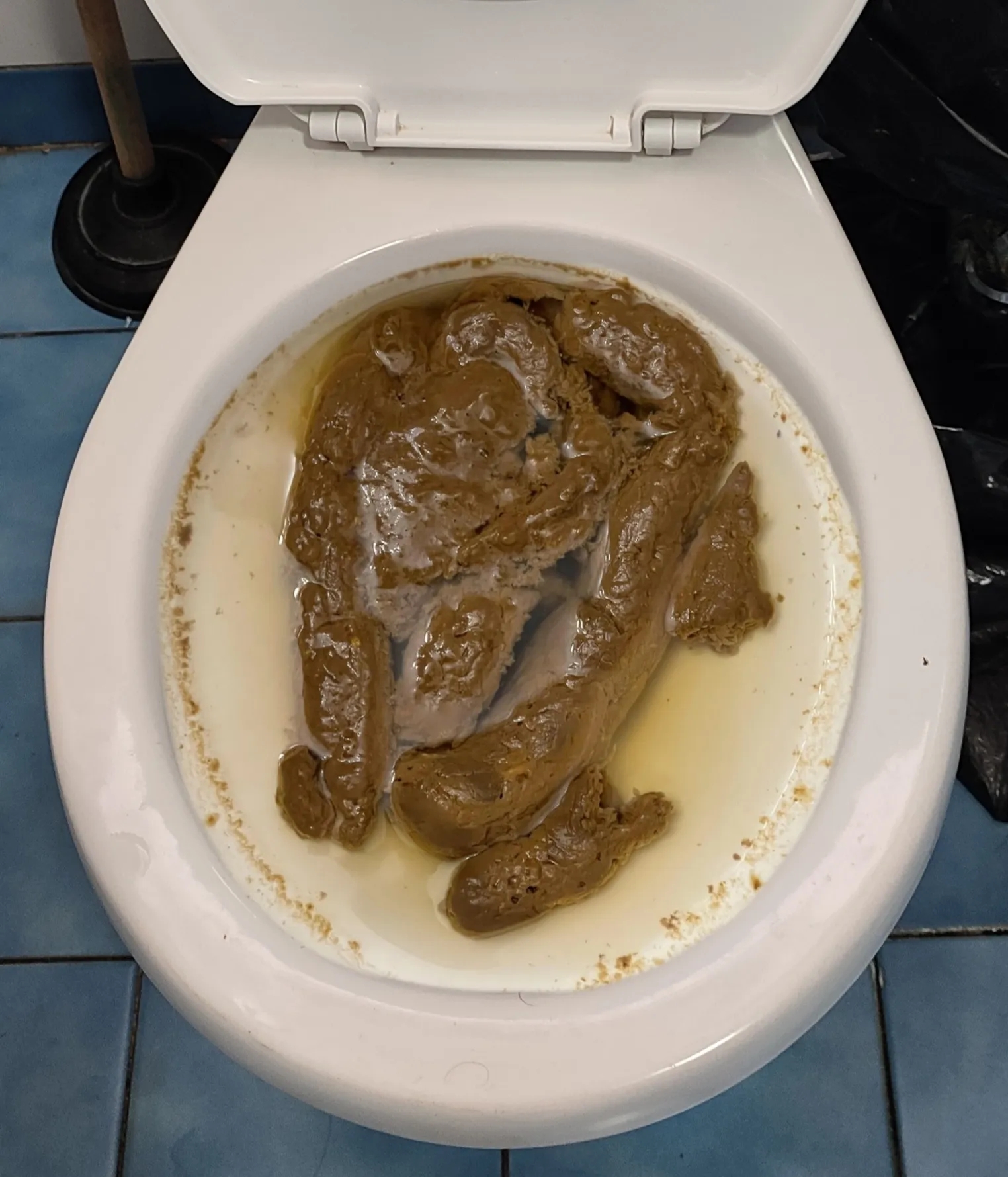 My girlfriend clogged the toilet again.