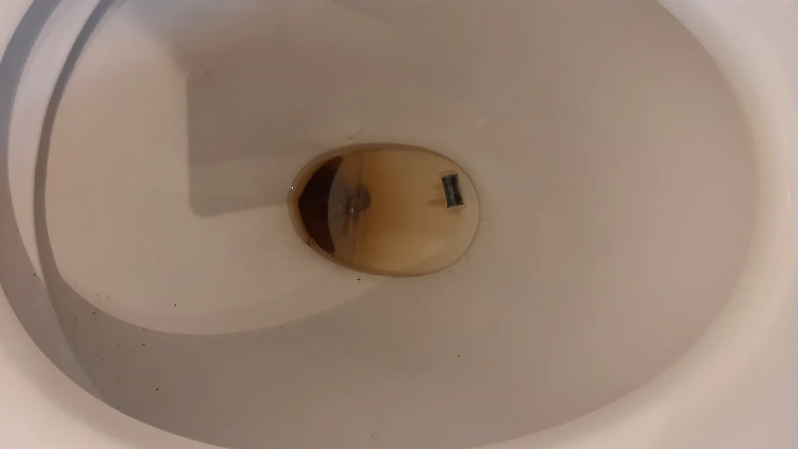 Poo