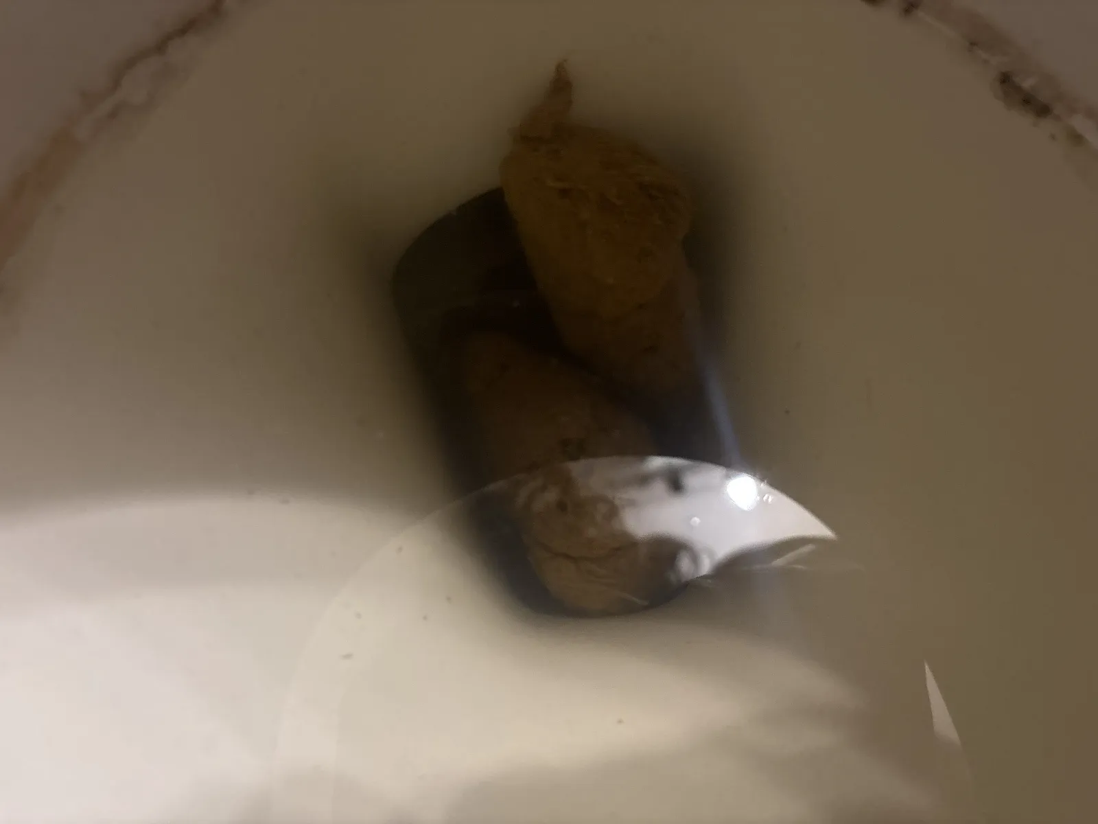 Took a shower