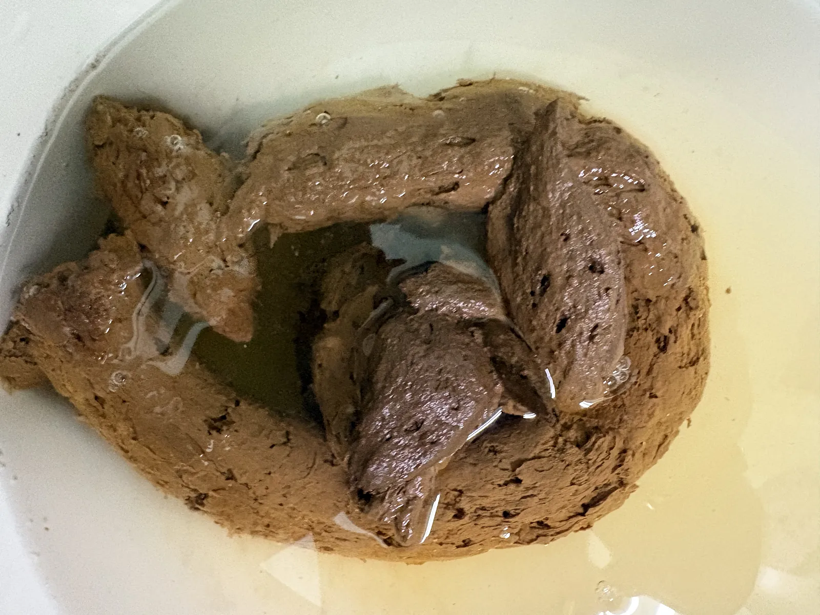 Girlfriend shit