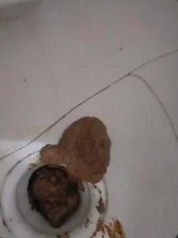 My Turkish Friend's poo