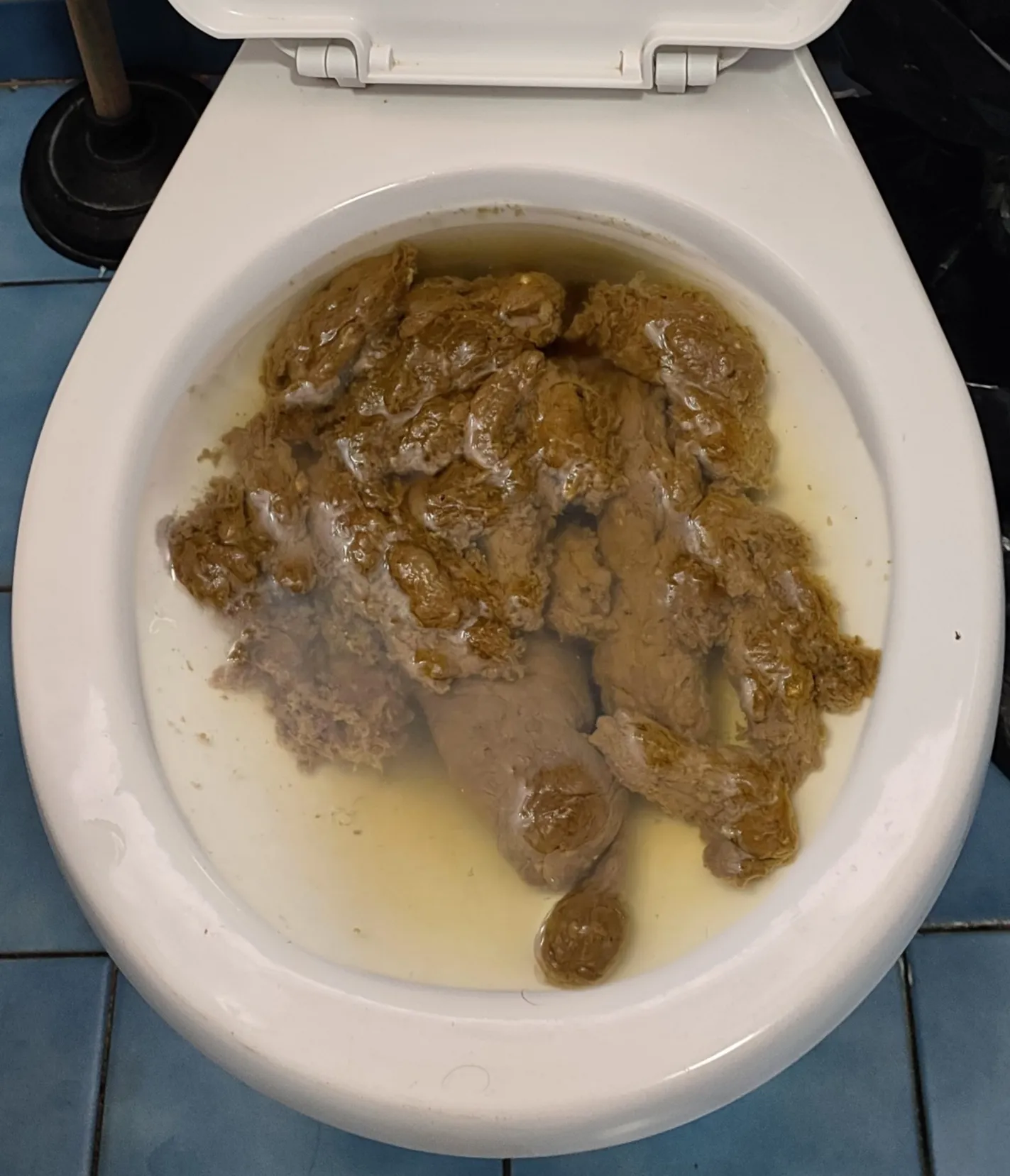 Another one of my girlfriend's poops.