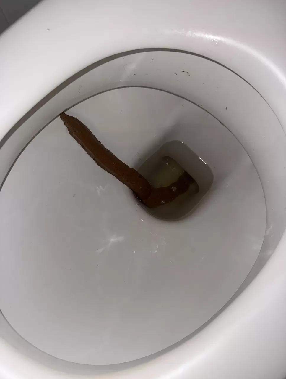Long poop