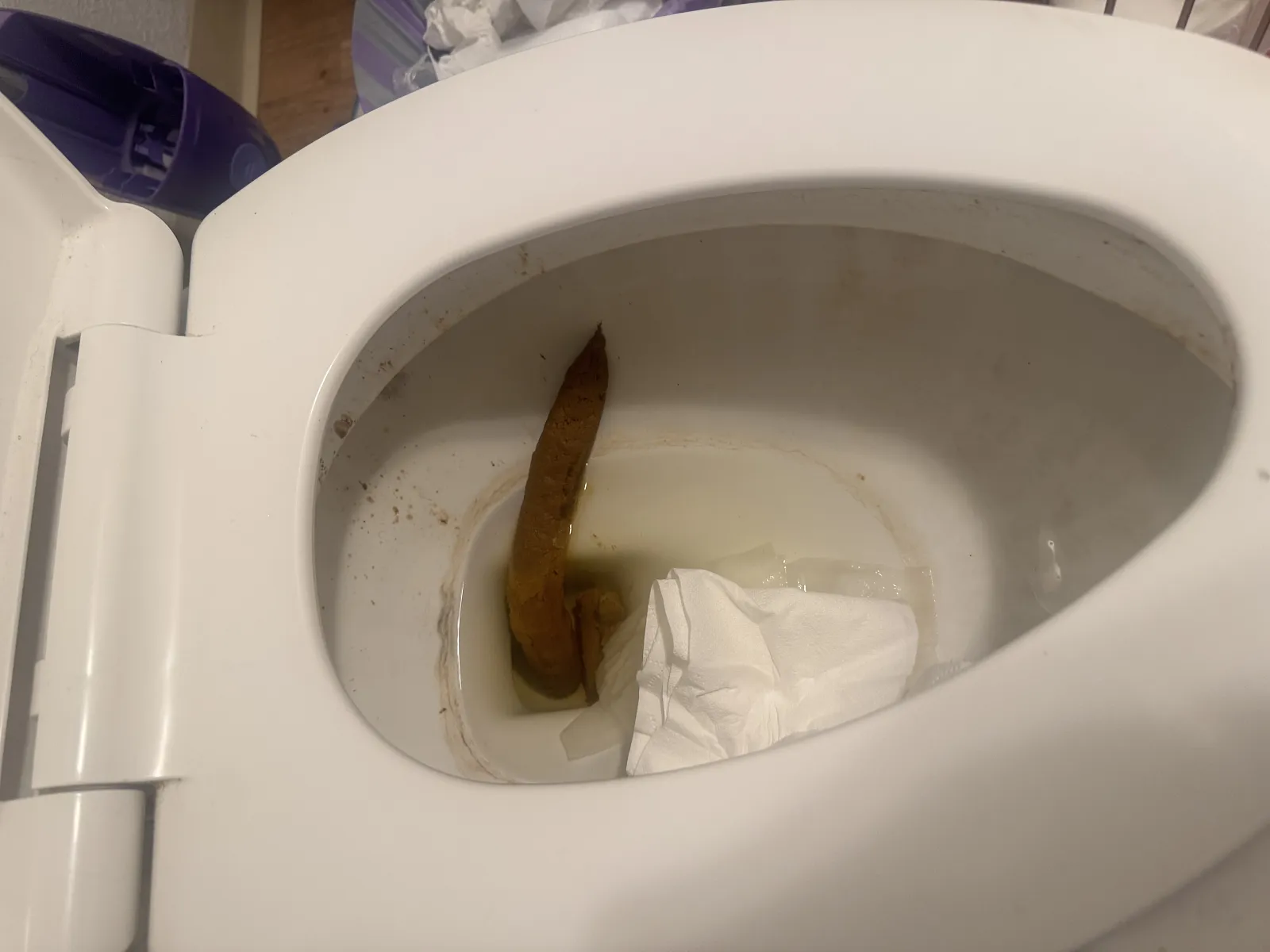 This took 3 flushes to budge