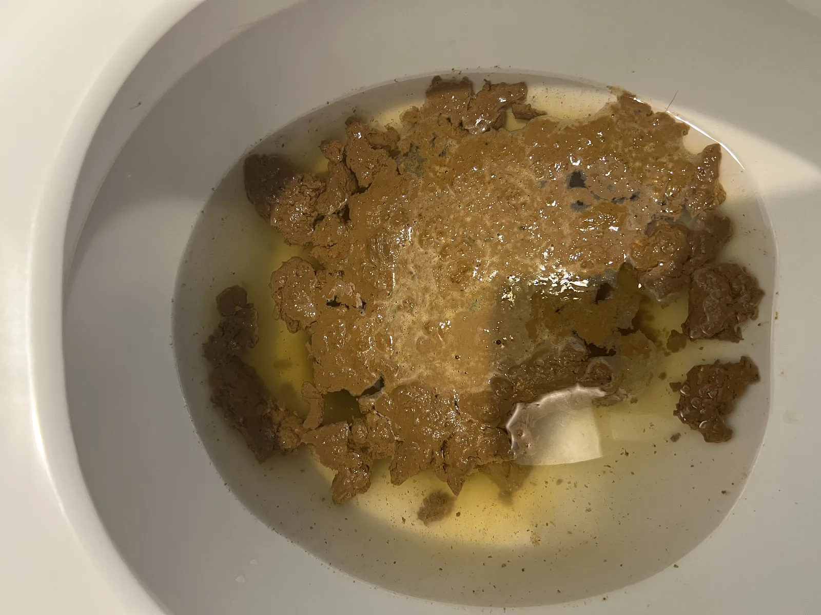 Check my poo, rate my poo. Library of Human Poops, Shits, and Feces Images.