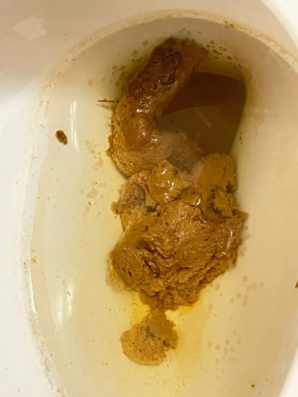 Morning poop 1