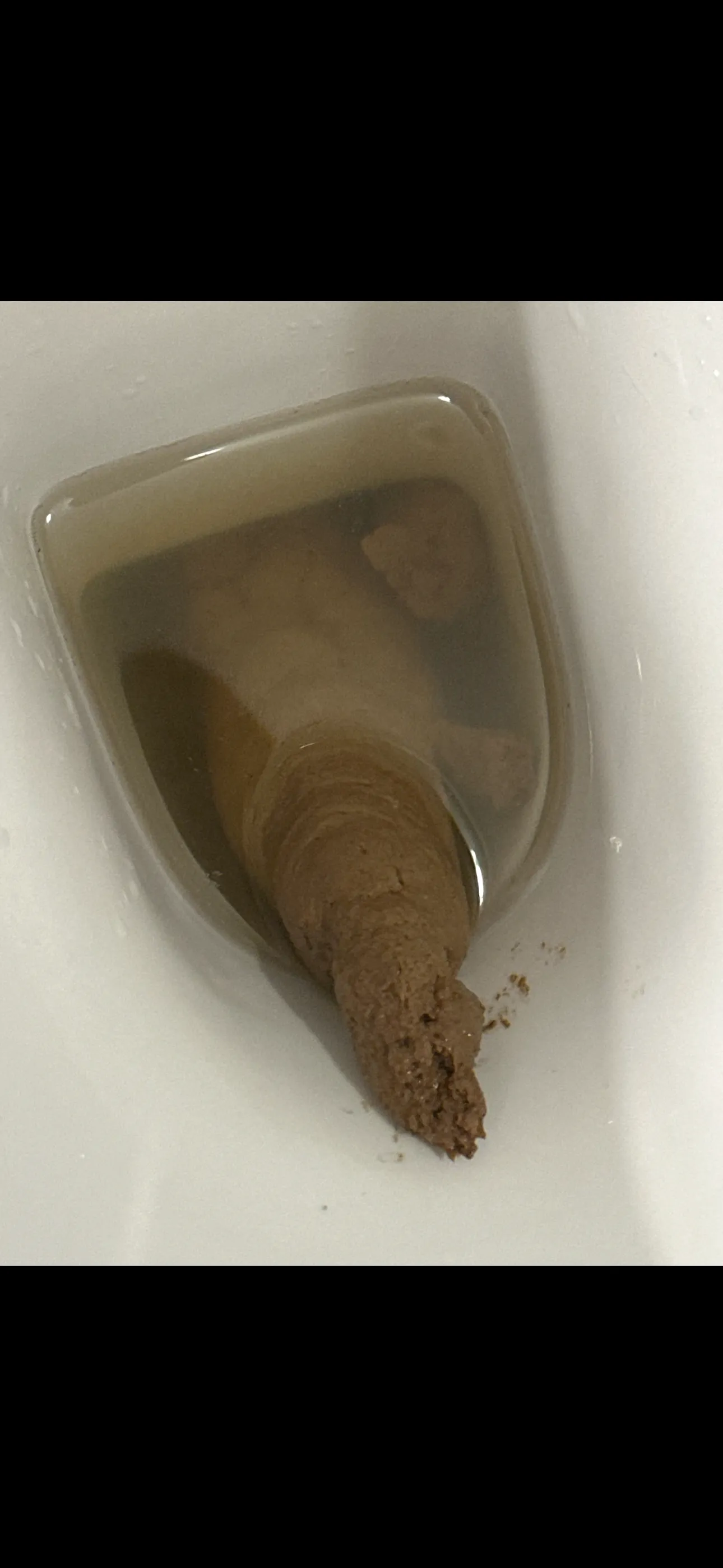 Check my poo, rate my poo. Library of Human Poops, Shits, and Feces Images.