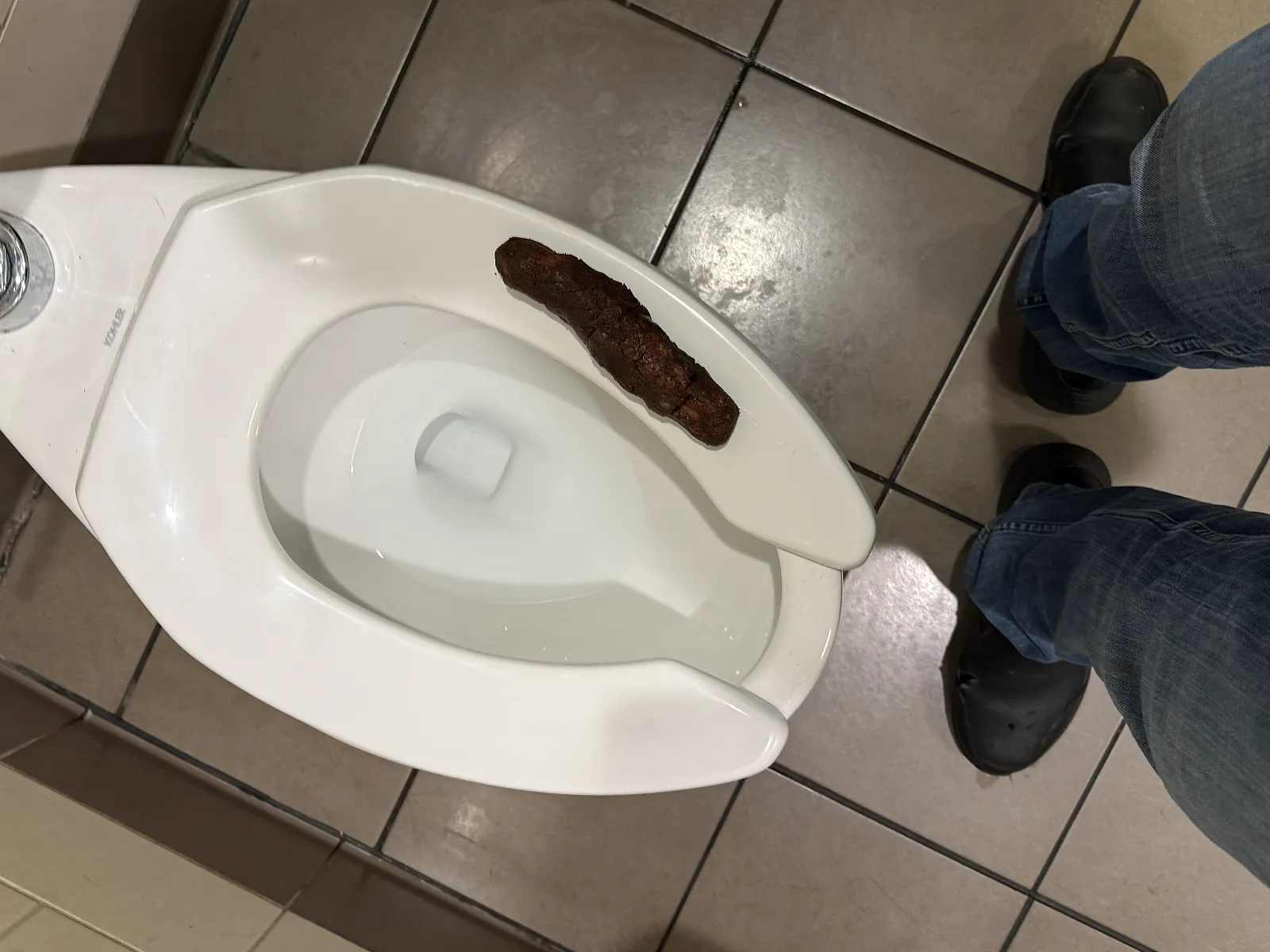 my proudest poo