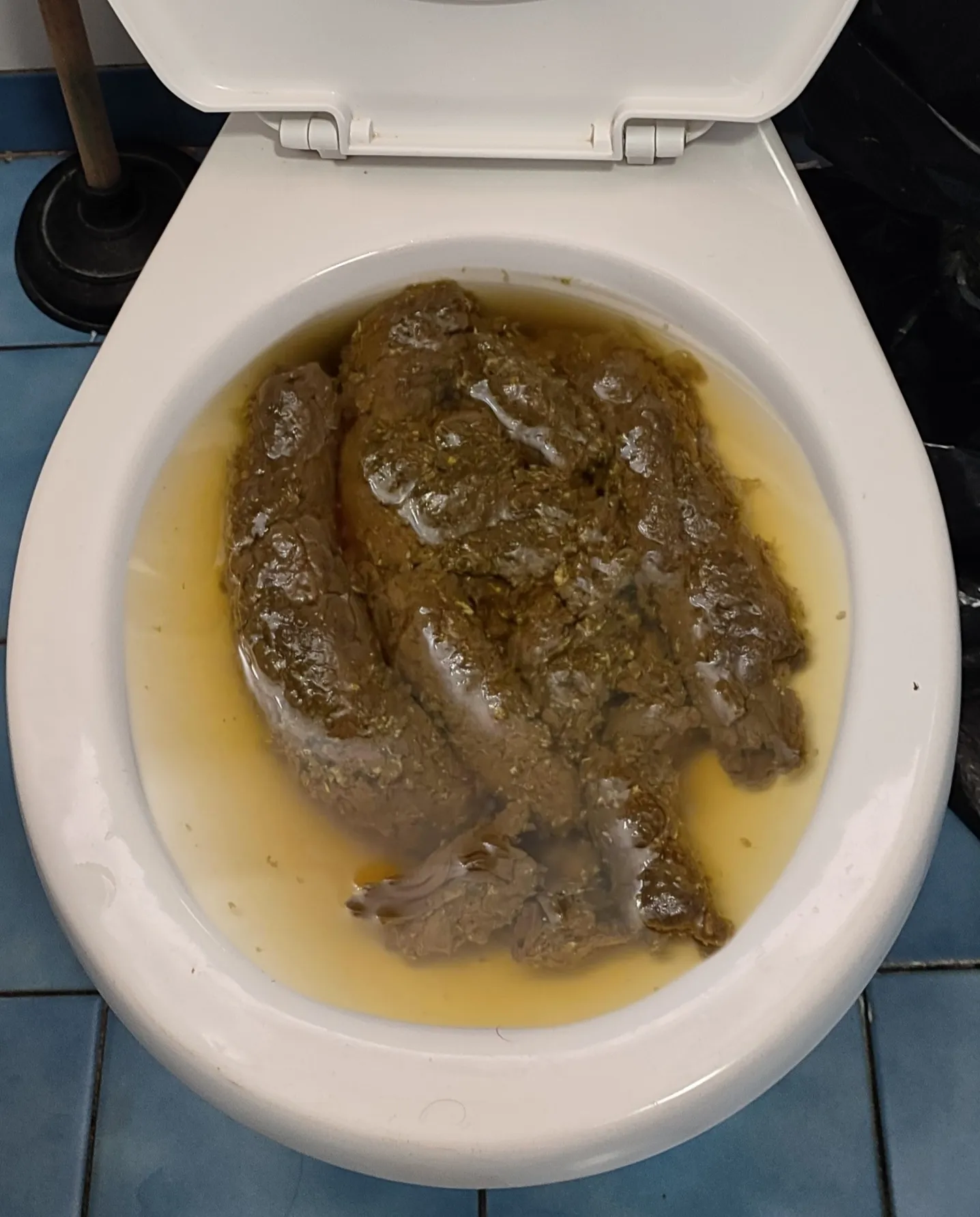 My girlfriend's nighttime poop