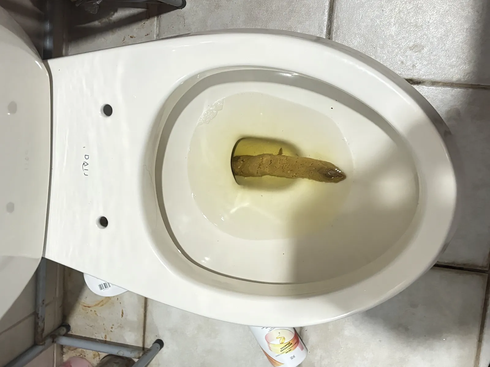 Large and in One Piece