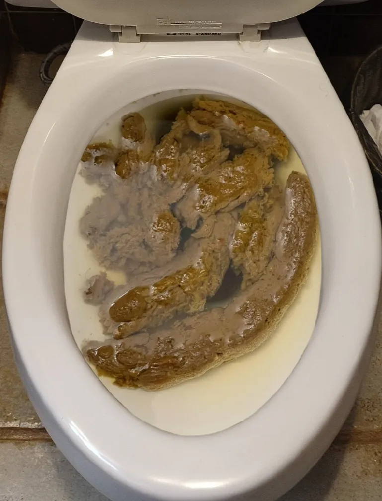 My girlfriend pooped in my house today