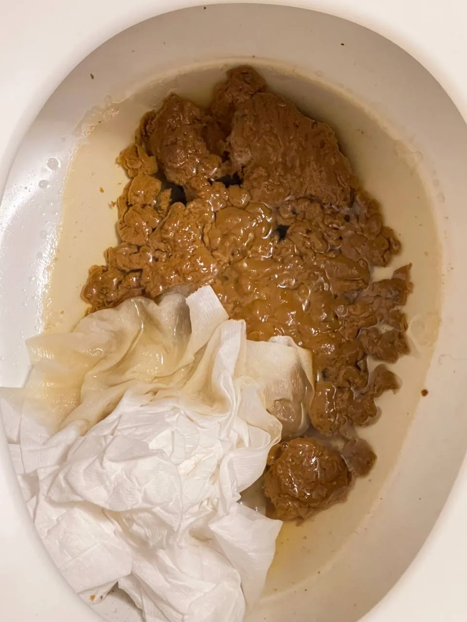 Very big poop