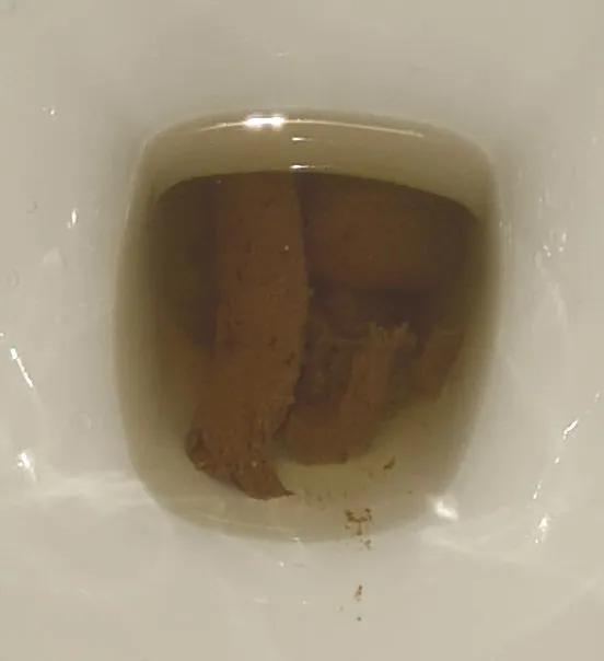 Daily morning dump