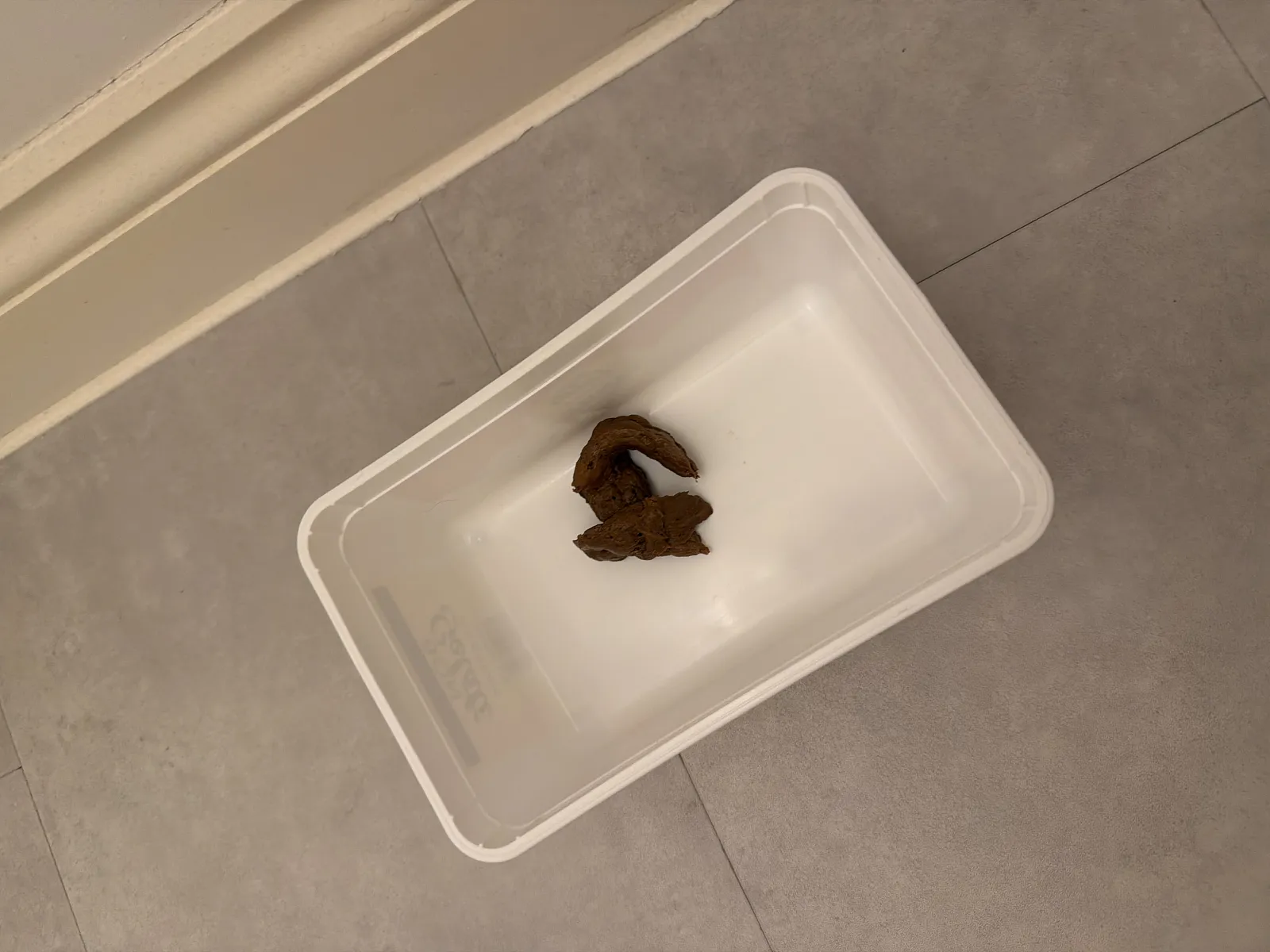 Stool sample