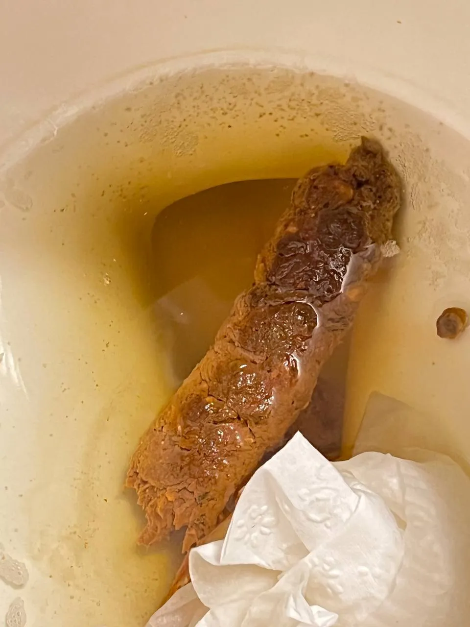 I nice firm turd