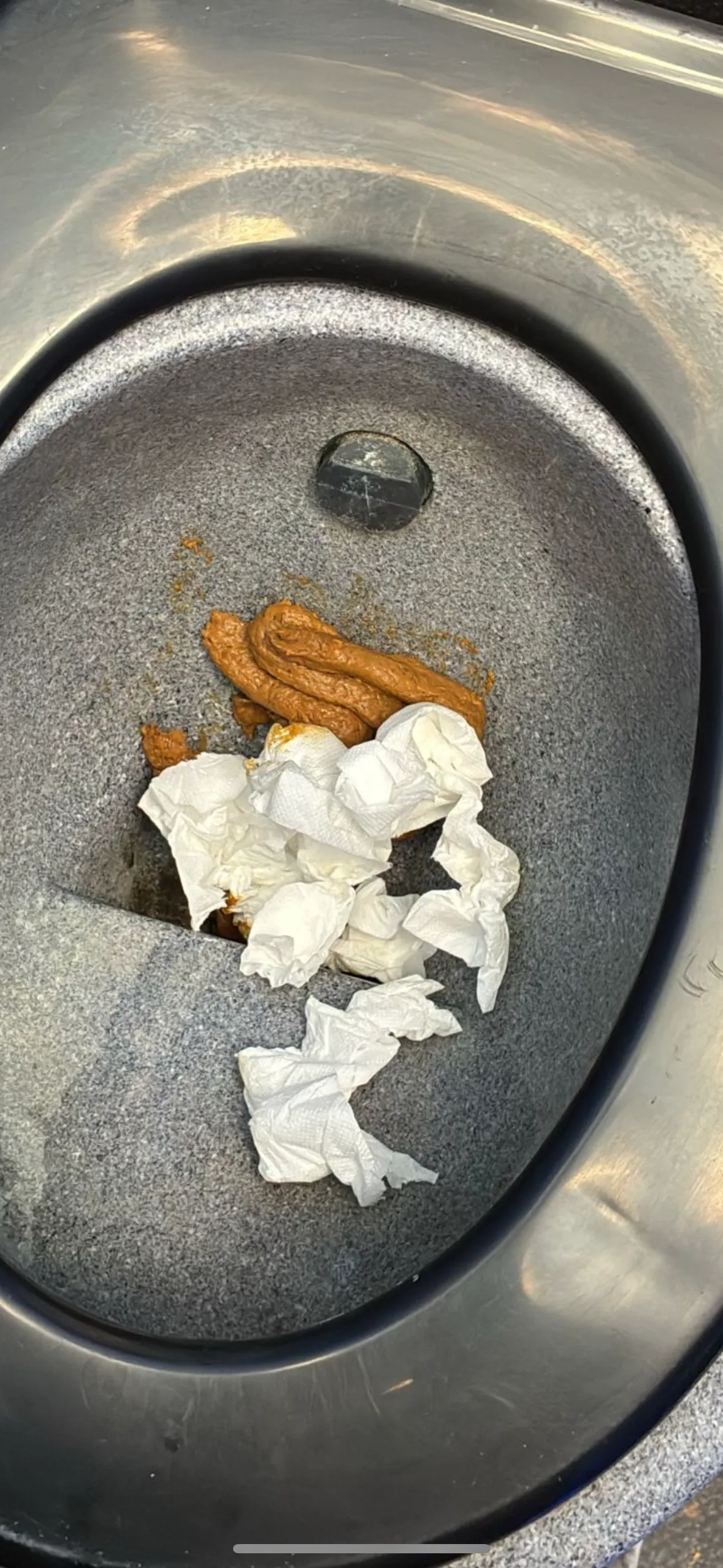 Portaloo poo