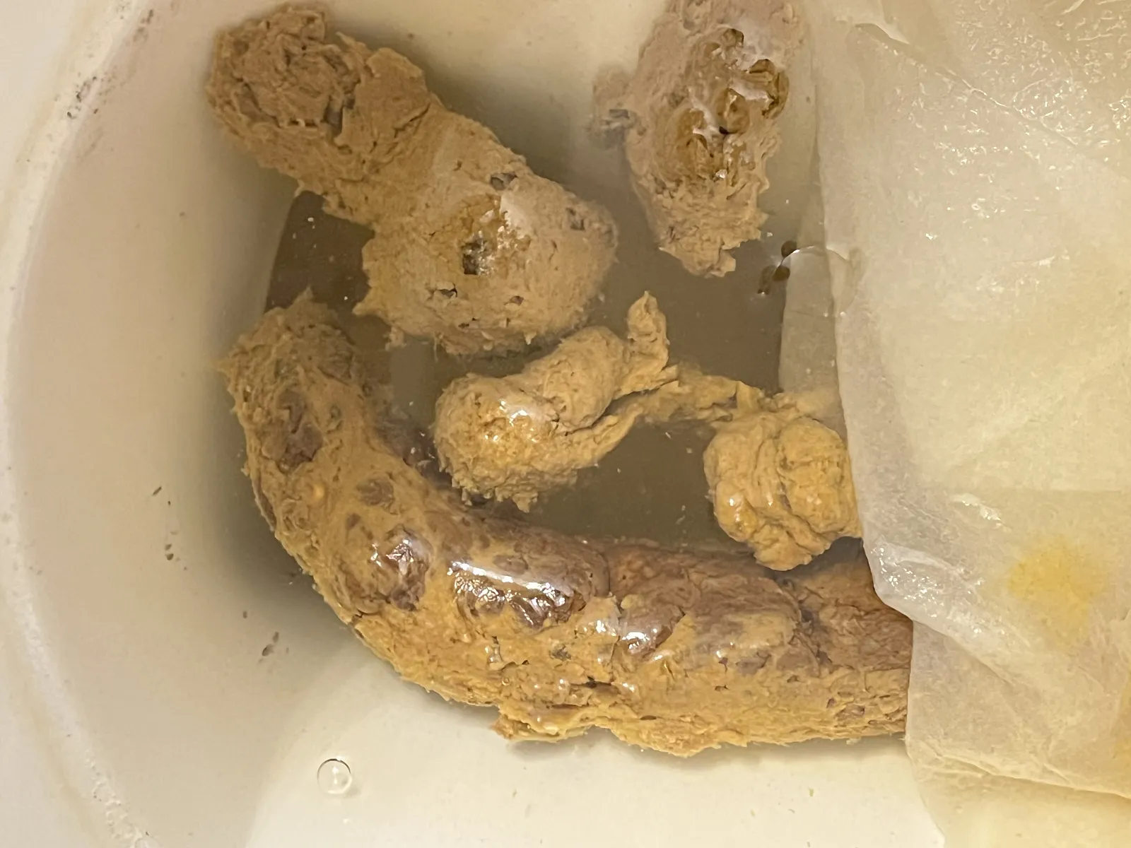 Morning poo of the day