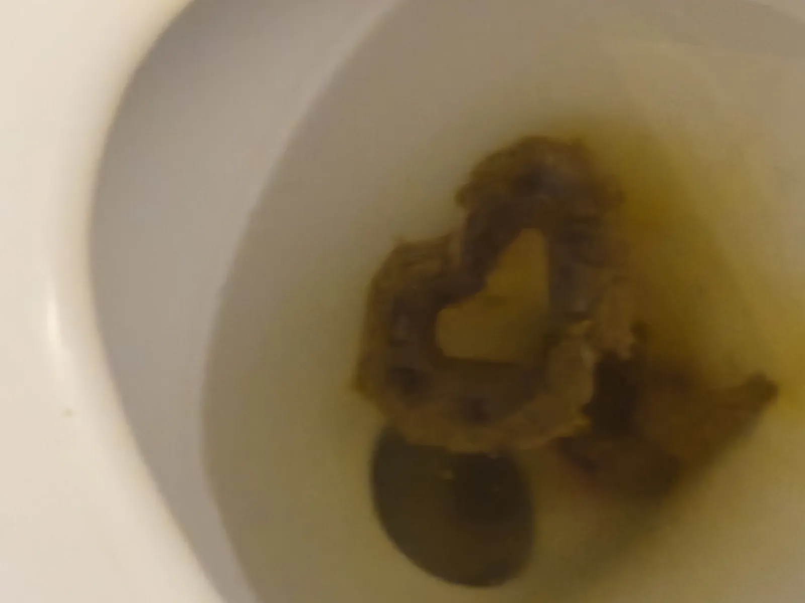 Shitty love