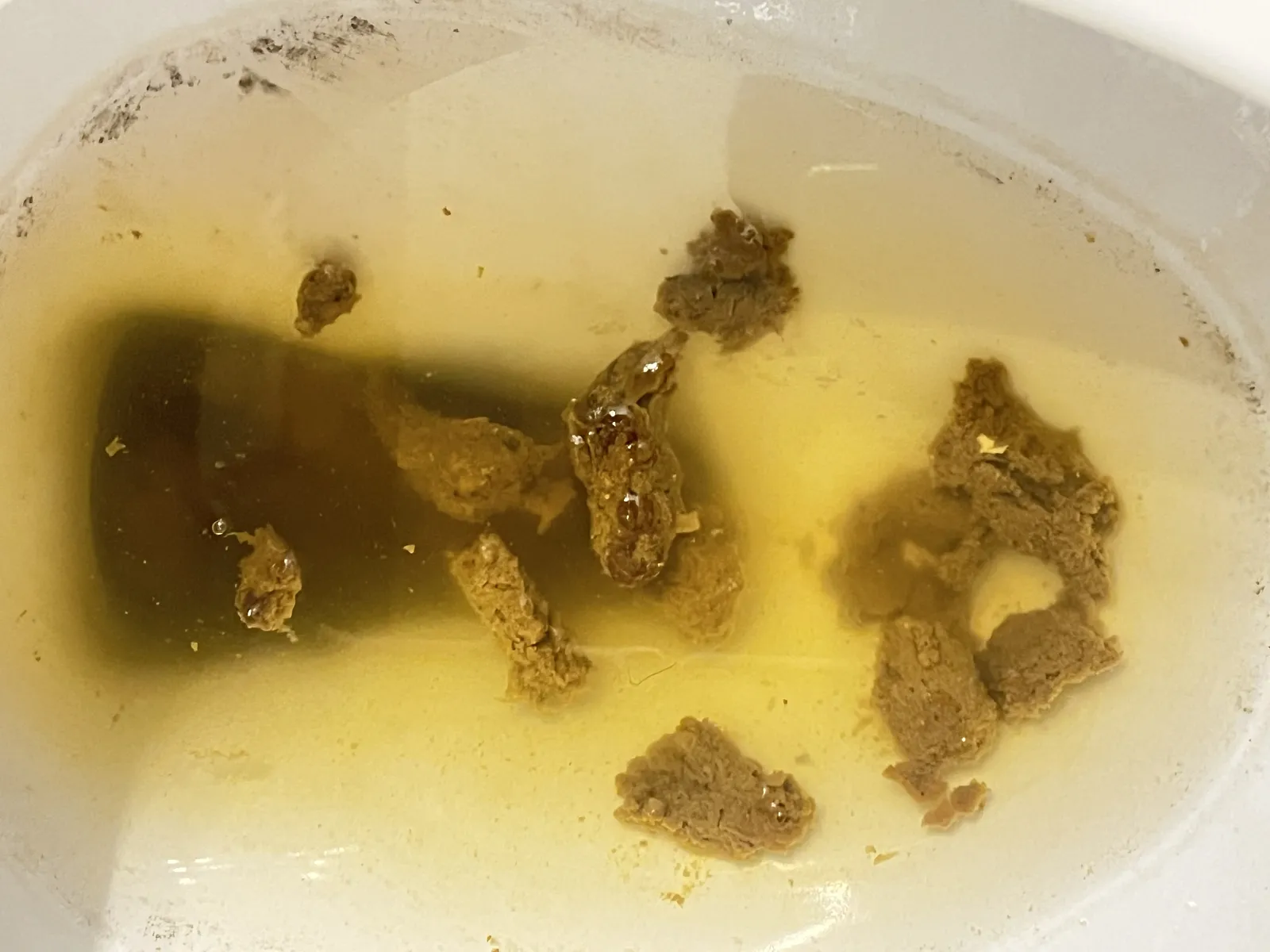 Smelly orci poo