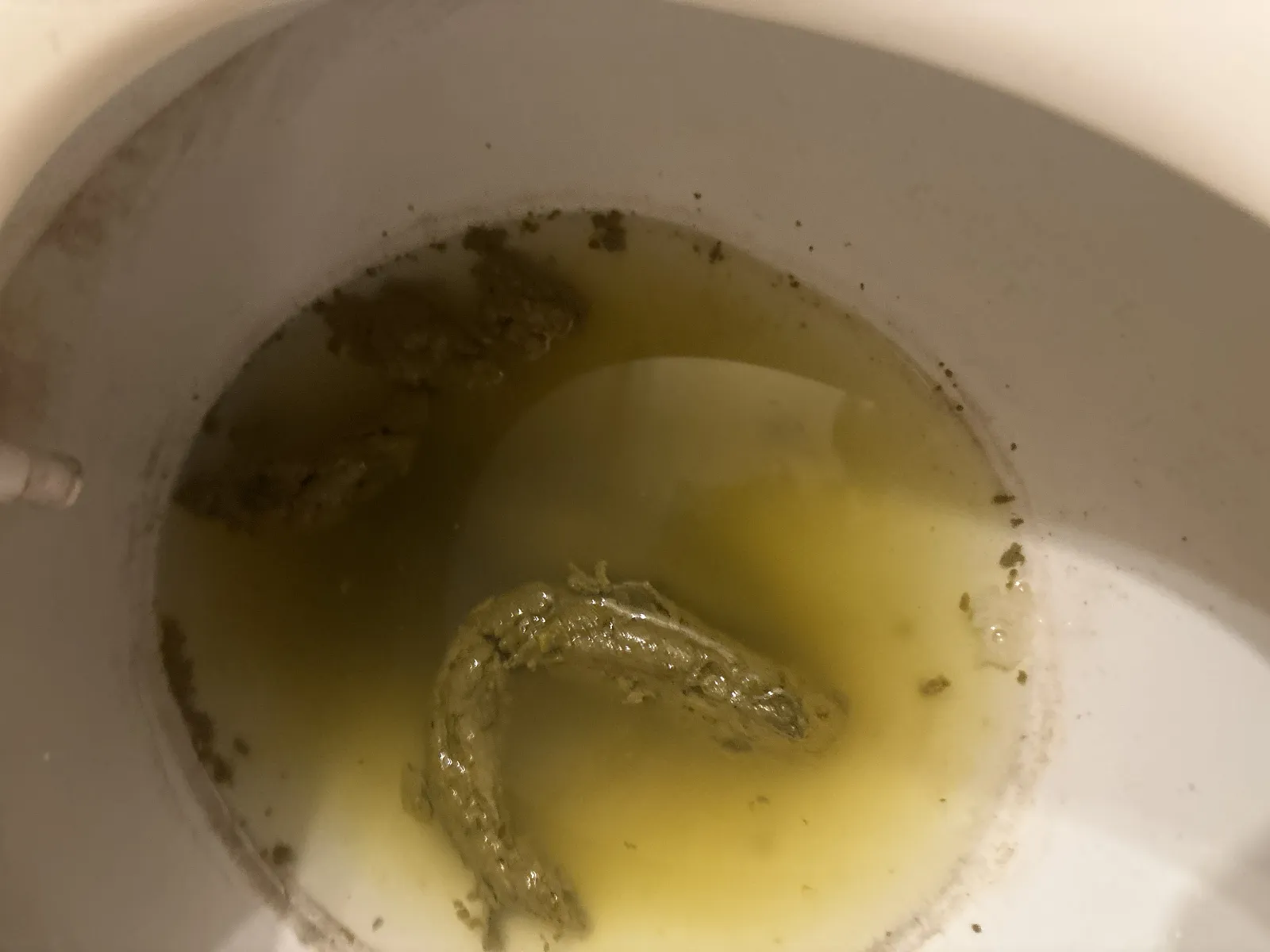Pop