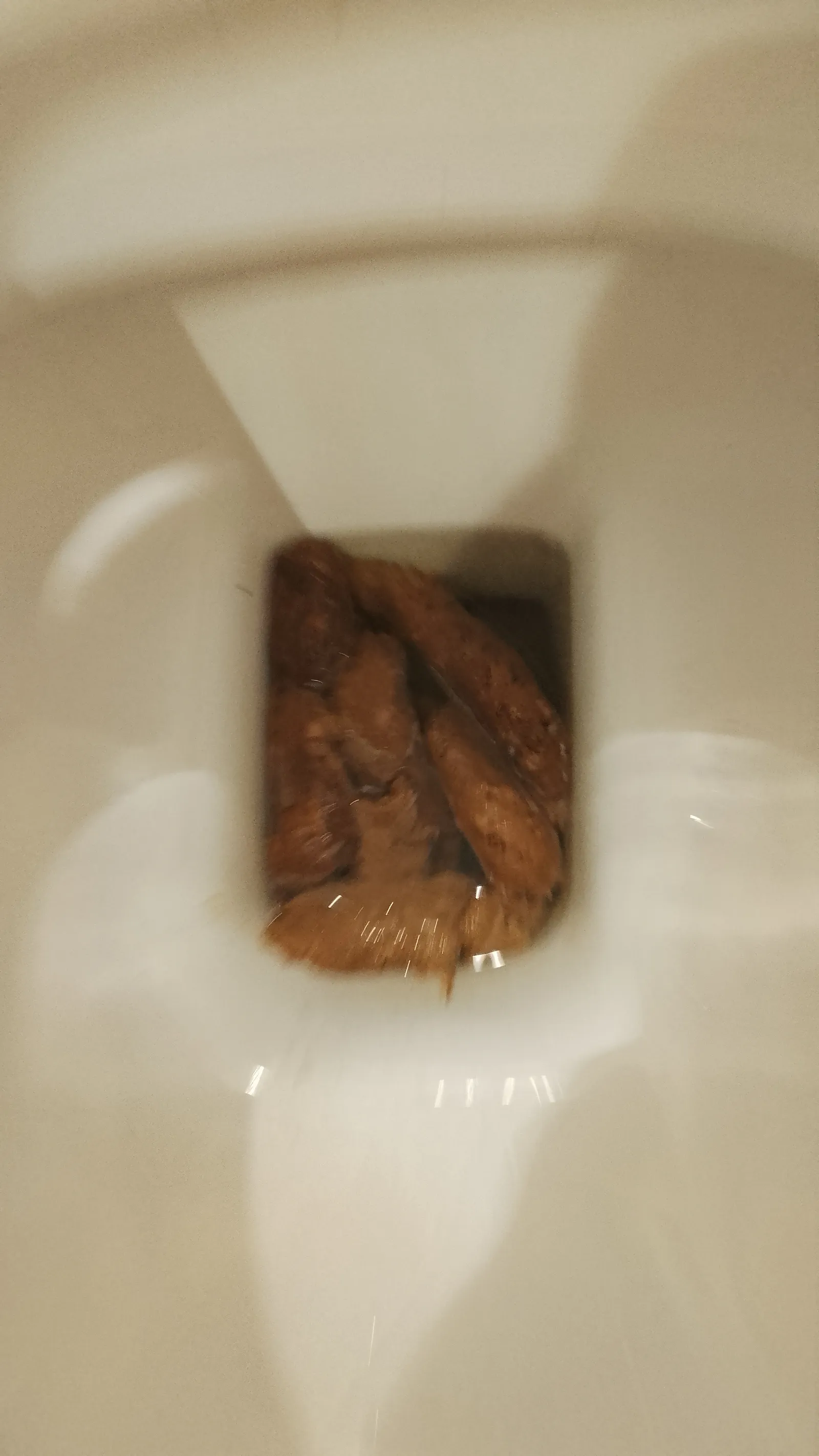 Shit stain