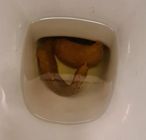 Firm morning poo