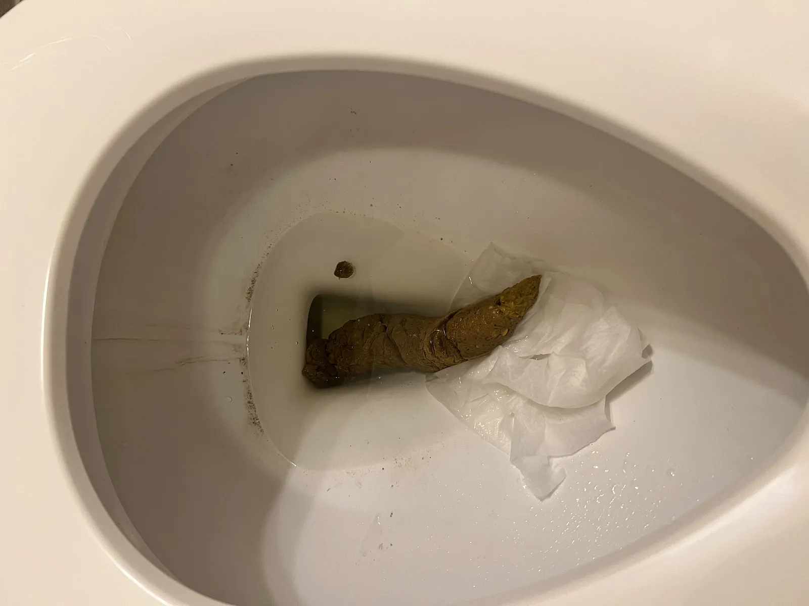 cornpoo