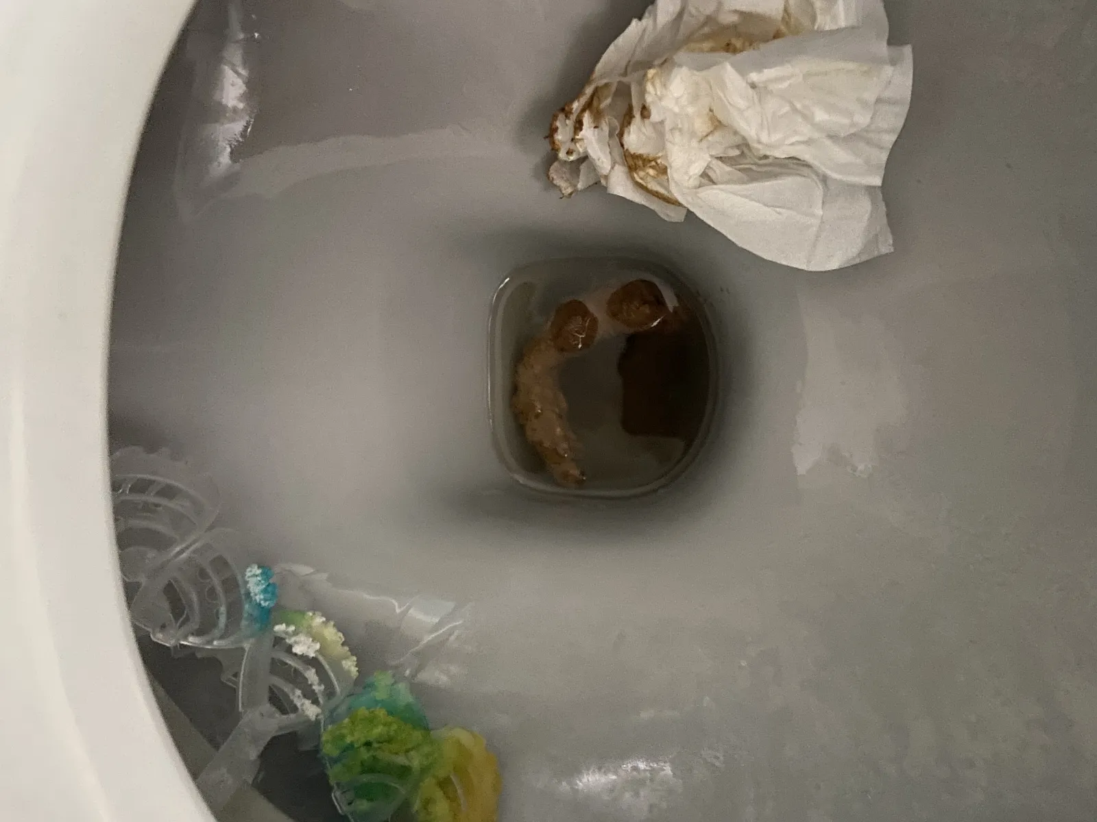 Monday poo