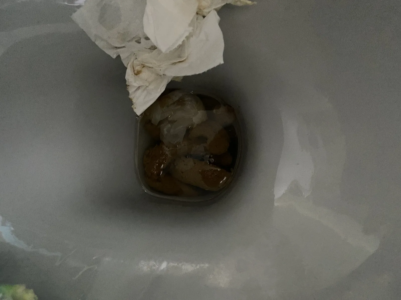 Tuesday poop