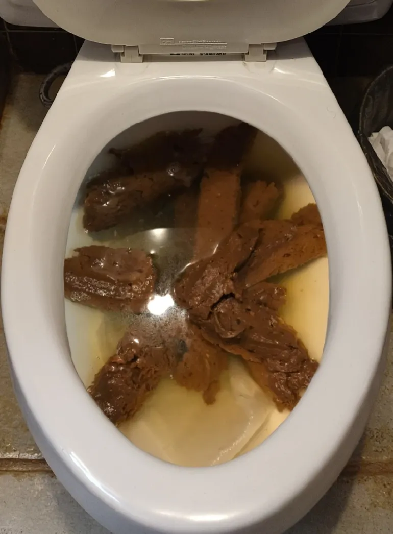 My girlfriend left her breakfast in the toilet today.