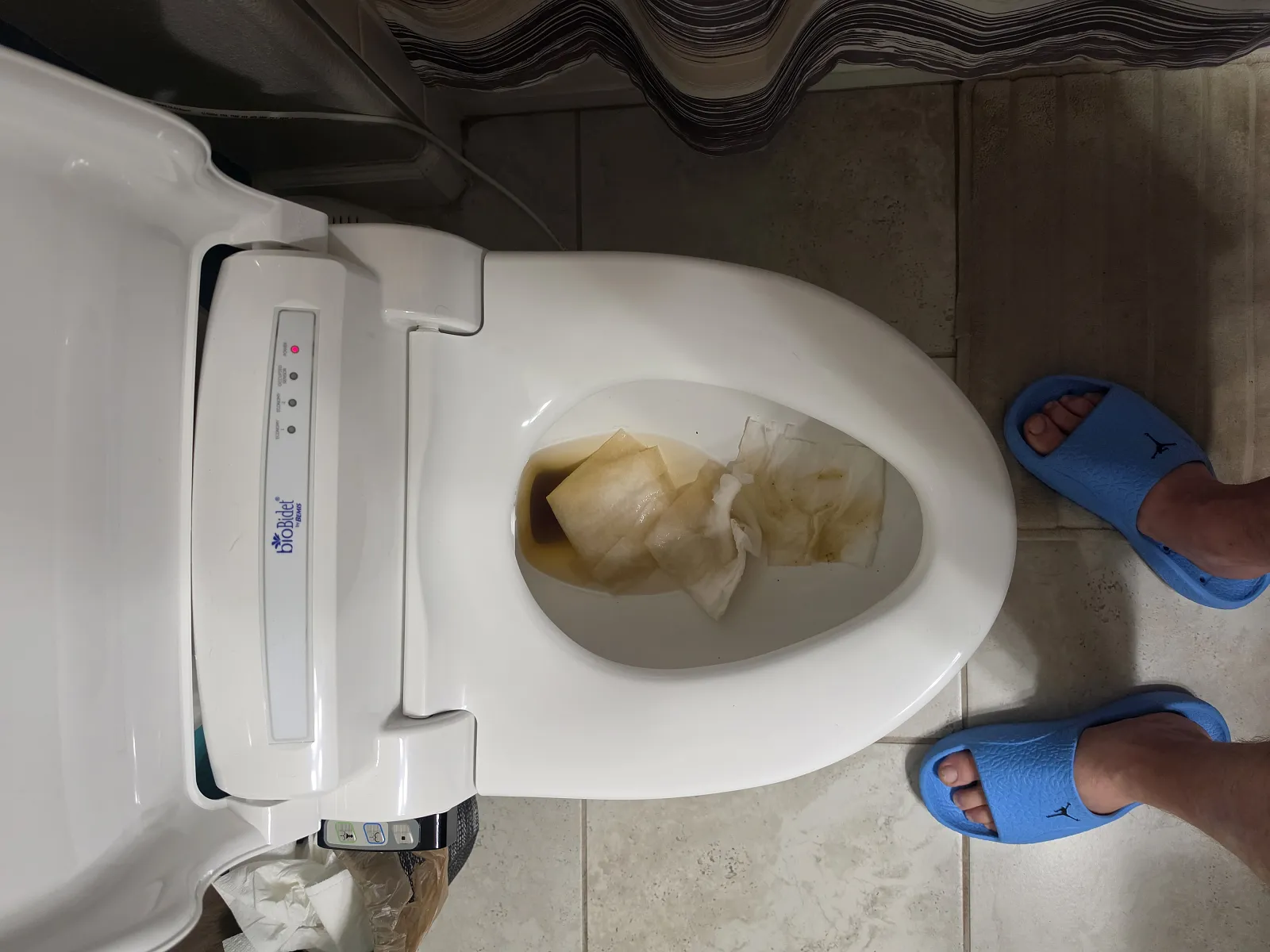 Morning Poo