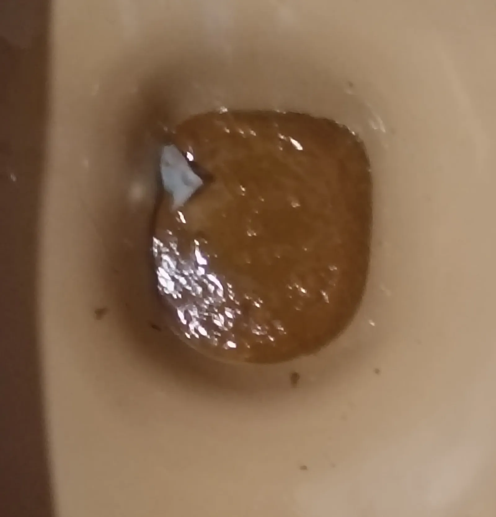 Shit water