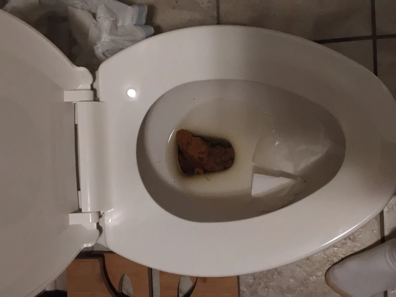 Hot turd